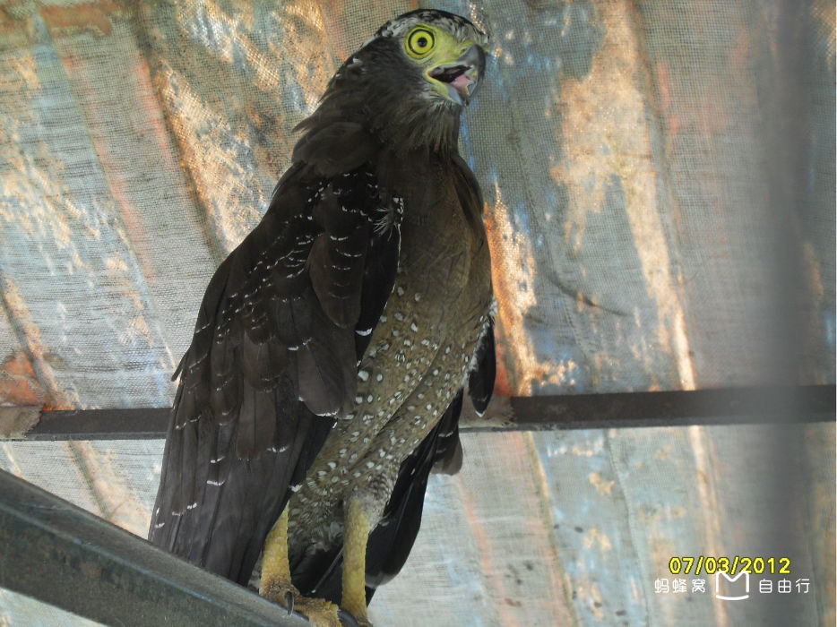 厦门海沧动物园