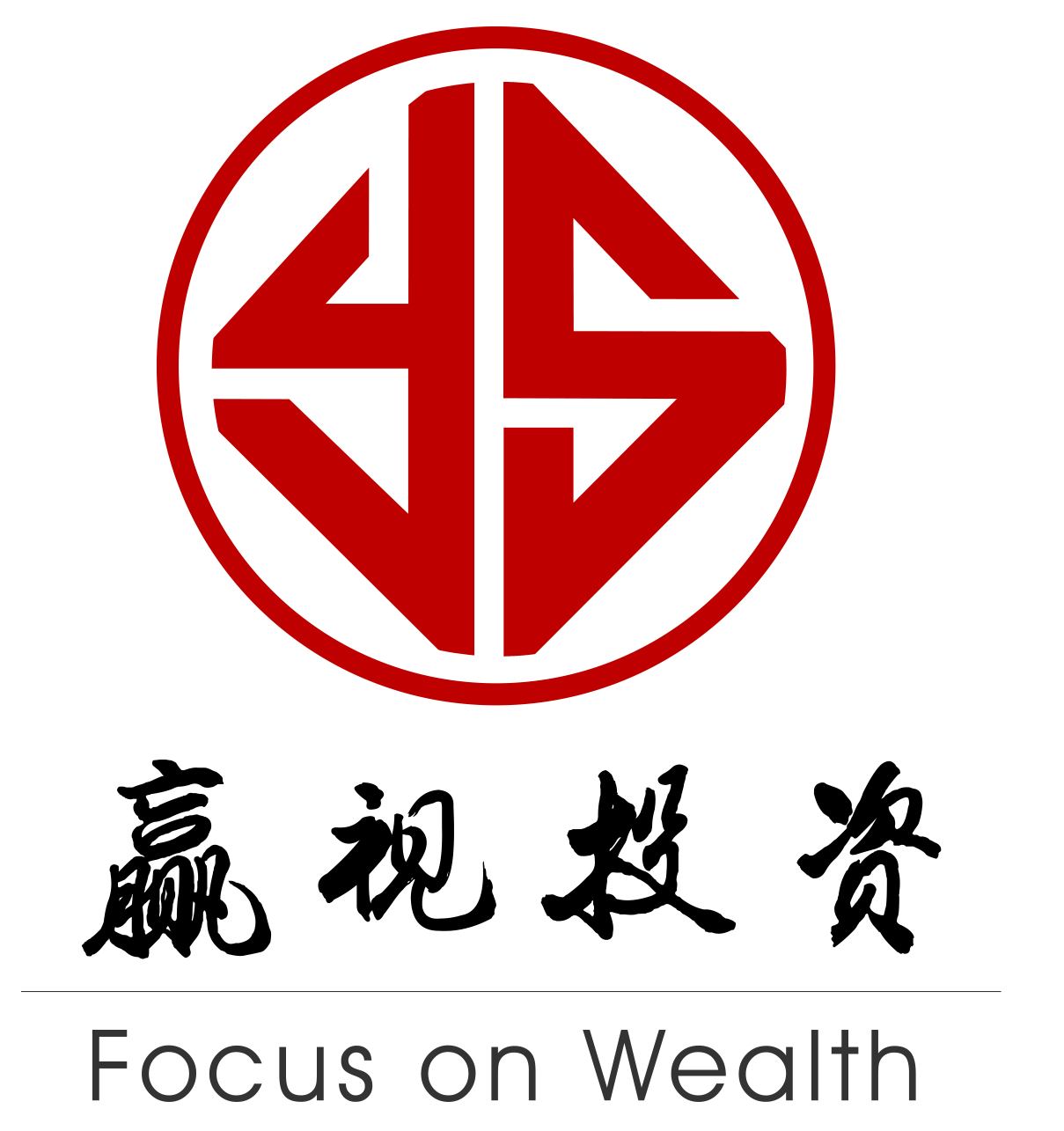 上海赢视投资管理有限公司