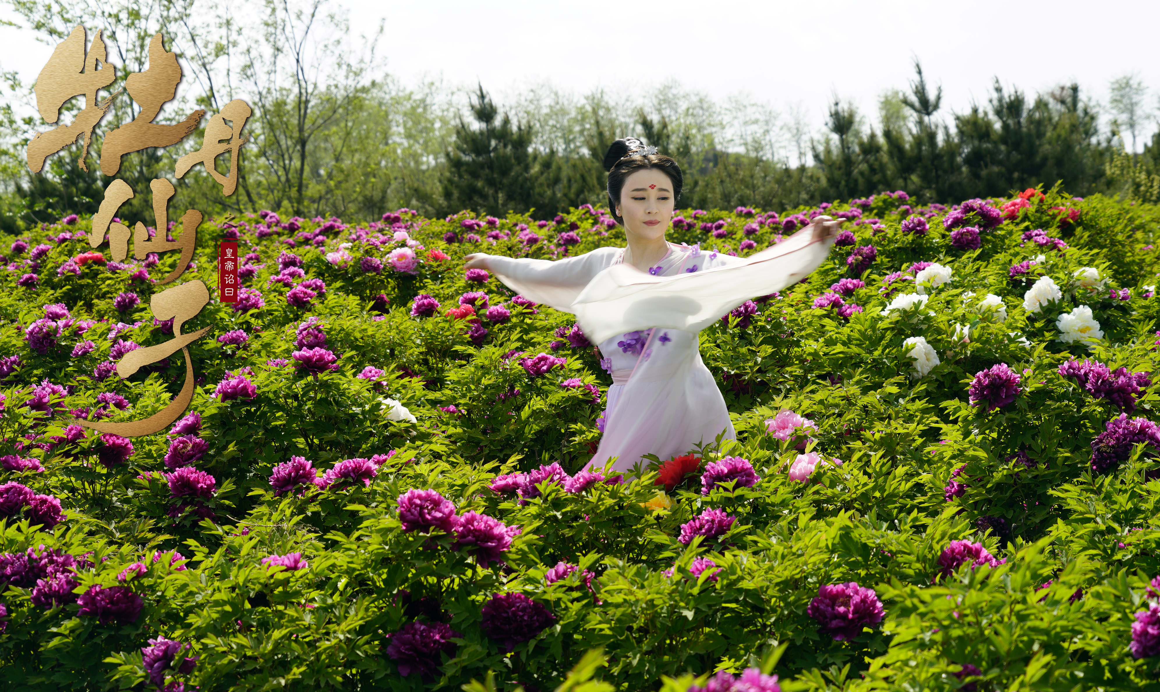 牡丹仙子之皇帝诏曰