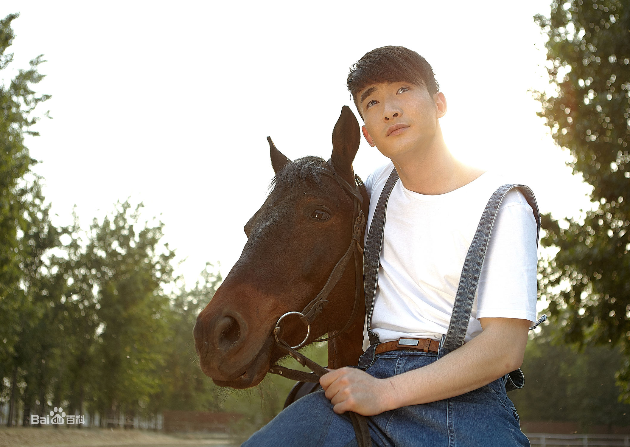 ="gnszyr33qg">魏炳桦,1982年10月3日出生于陕西咸阳,中国内地男演员