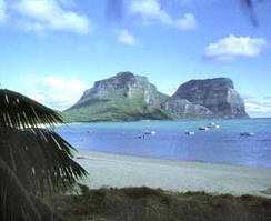 年一度被视为已灭绝,于2001年却被重新发现(这现象称为拉撒路现象)