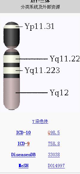 xyy染色体是一种人类男性的<a target="