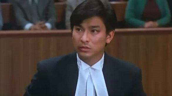 法内情thetruth(1988)