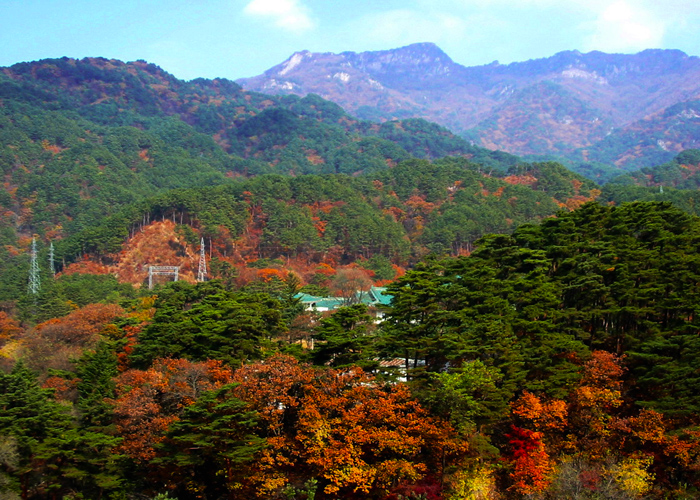 妙香山自然保护区