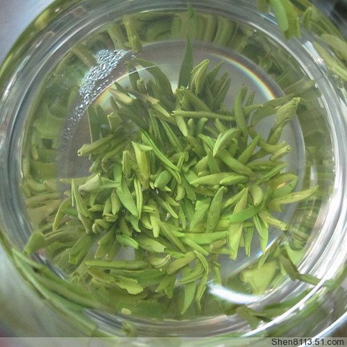 银针茶