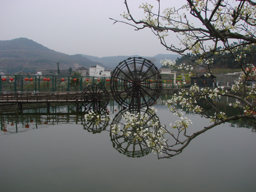 苍溪梨文化博览园