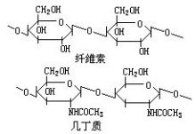 纤维素和几丁质分子结构图