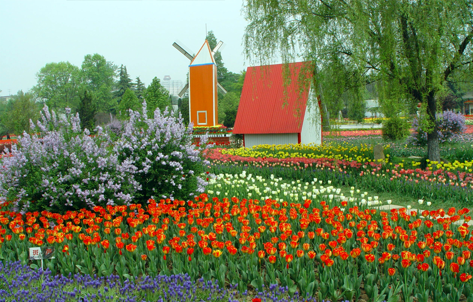  p> a target="_blank" href="/item/西安植物园/5125698" data-lemma