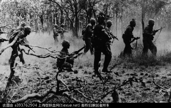  p>德浪河谷战役(battle of ia drang)是 a target="_blank" href="