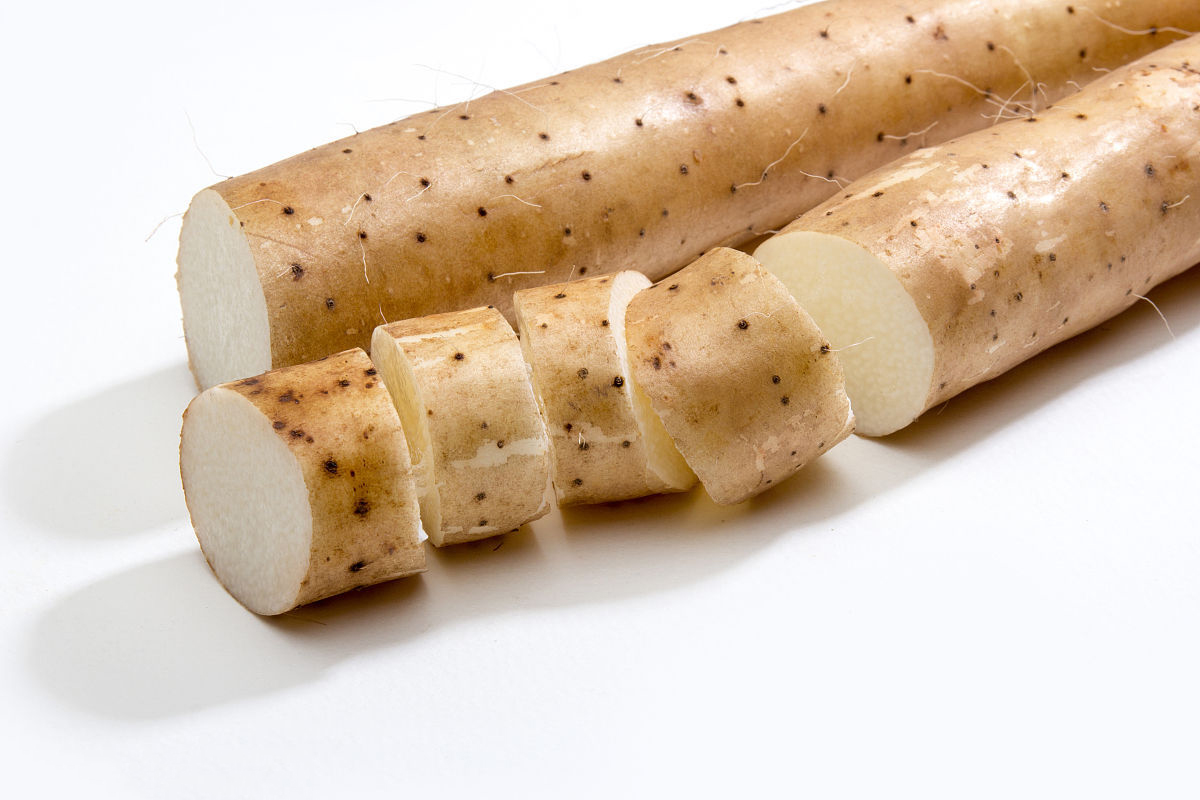  p>安砂小薯又叫山药,淮山,属薯芋类蔬菜,盛产于 a target="_blank"