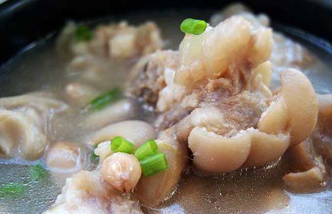 双豆猪蹄汤