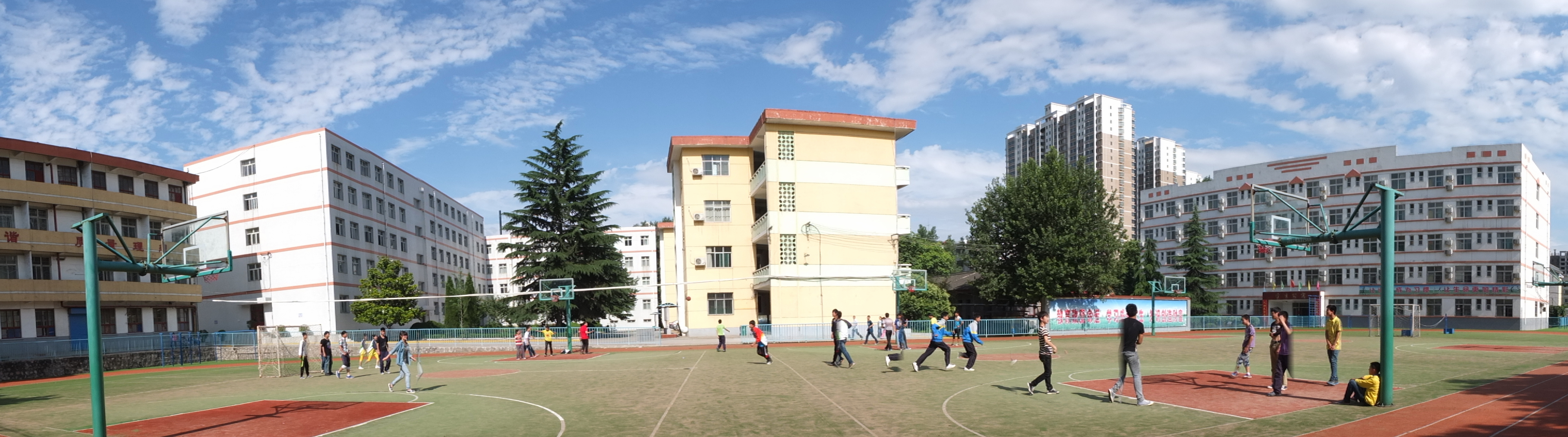  p>宝鸡市龙泉中学坐落在金陵河西岸的北首岭遗址上,校园古松参天