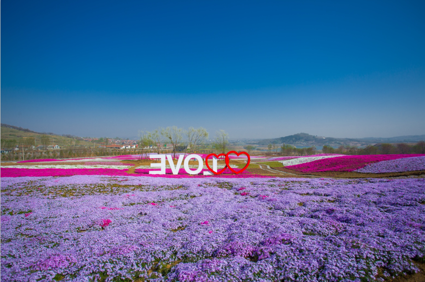 日照花仙子风景区