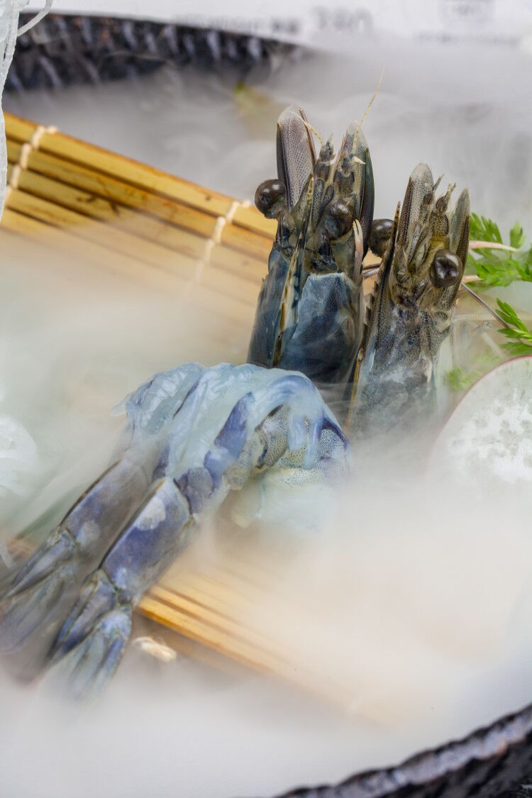  p>蓝虾(英文名blue shrimp)俗名又称文莱蓝虾,天使蓝虾.