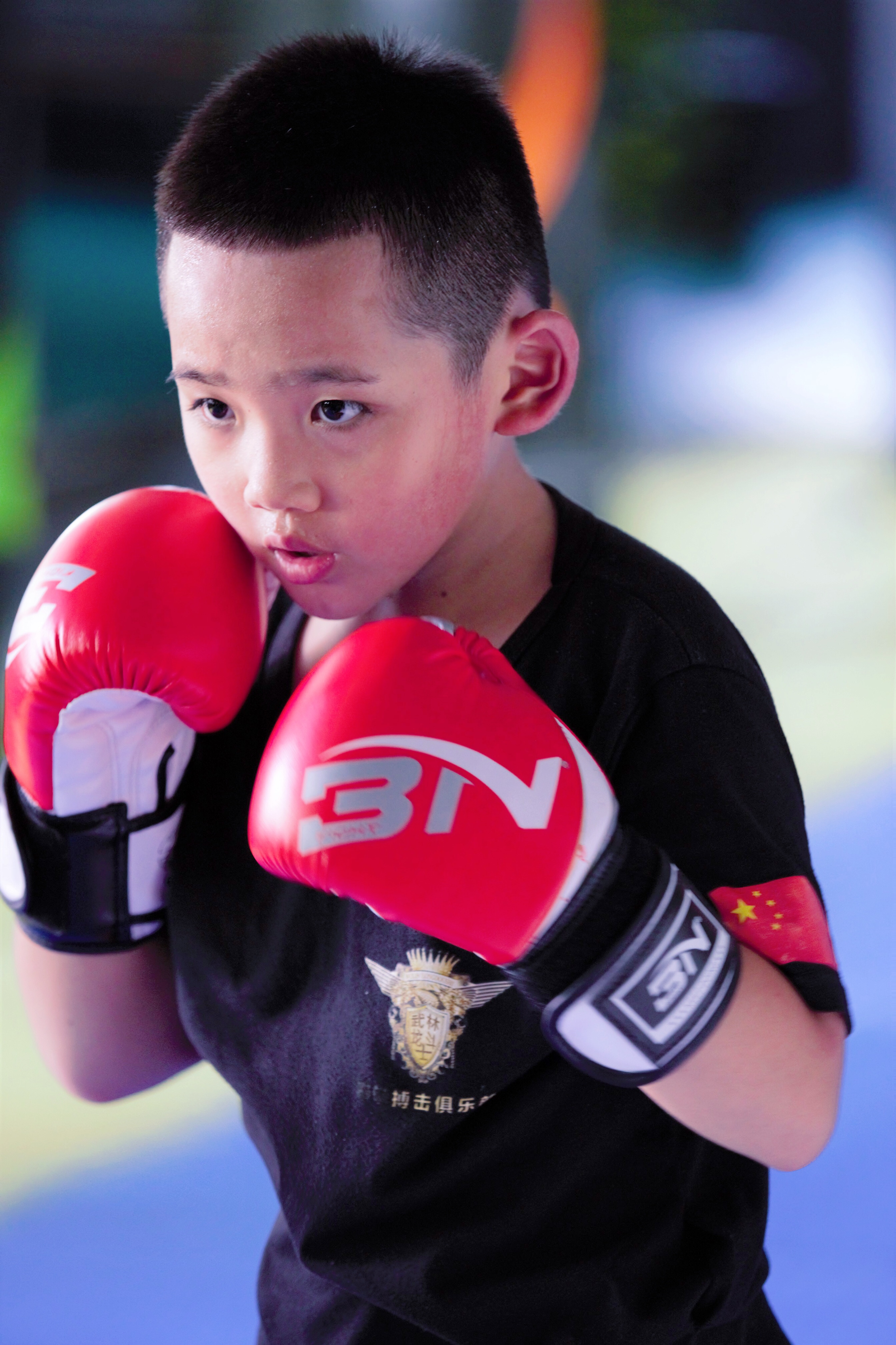  p>王艺鸣,2011年出生于福建厦门,法号释恒鸣,祖籍河南商丘,现为少林