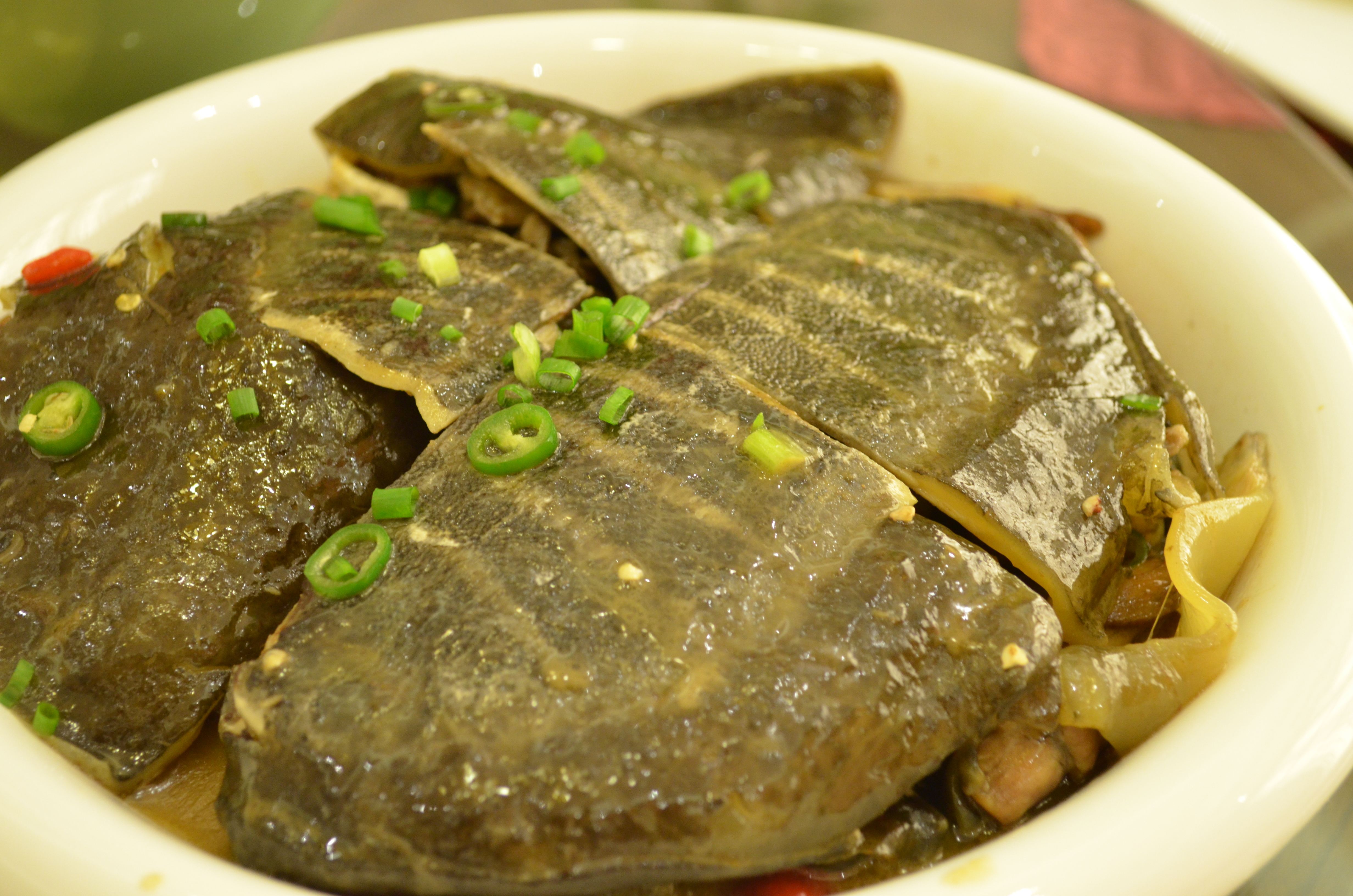  p>鱼台甲鱼,山东省鱼台县特产,全国农产品地理标志.