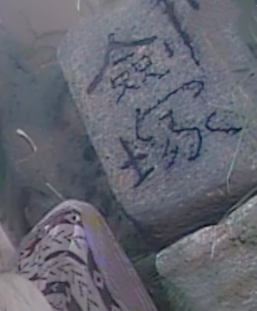 " data-lemmaid="9912086">神雕侠侣 /a>》,是【剑魔】独孤求败归隐后