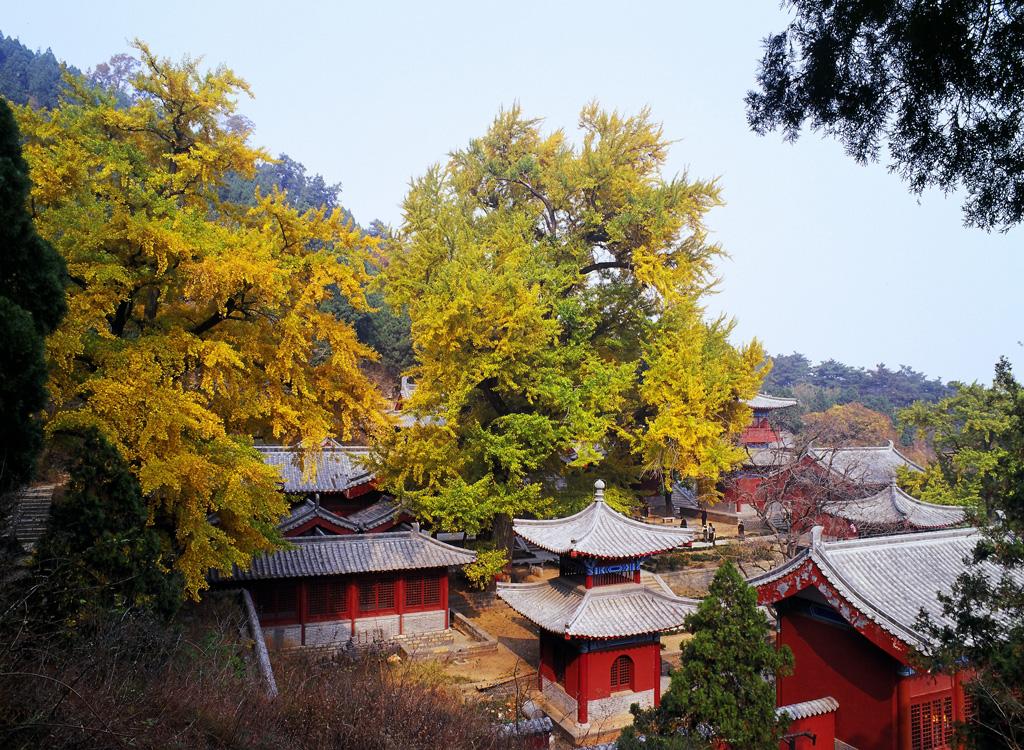 灵泉山森林公园