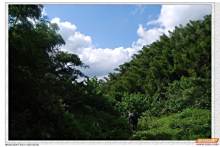 攸县风光