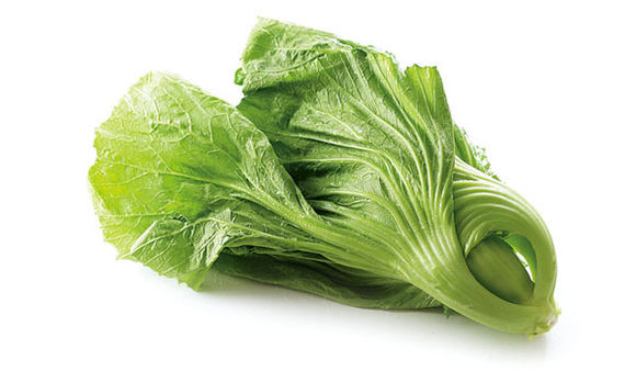  p>芥菜(学名: i>brassica juncea /i>   (l.) czern. et coss.