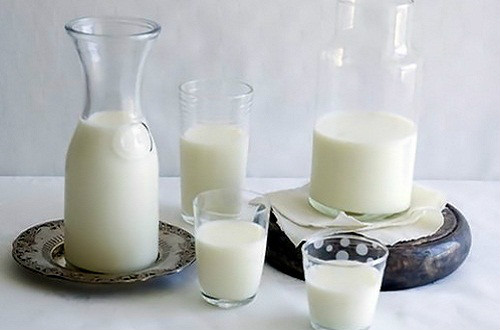 鲜牛奶 全网资源