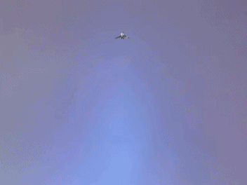 352_264gif 动态图 动图