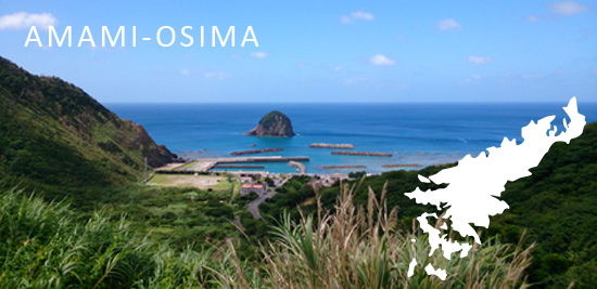  p>奄美大岛,amami great island ,属于 a target="_blank" href="