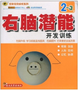 全能宝贝成长系列:右脑潜能开发训练