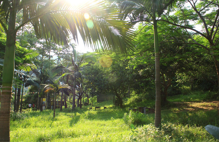 莆田凤凰山公园