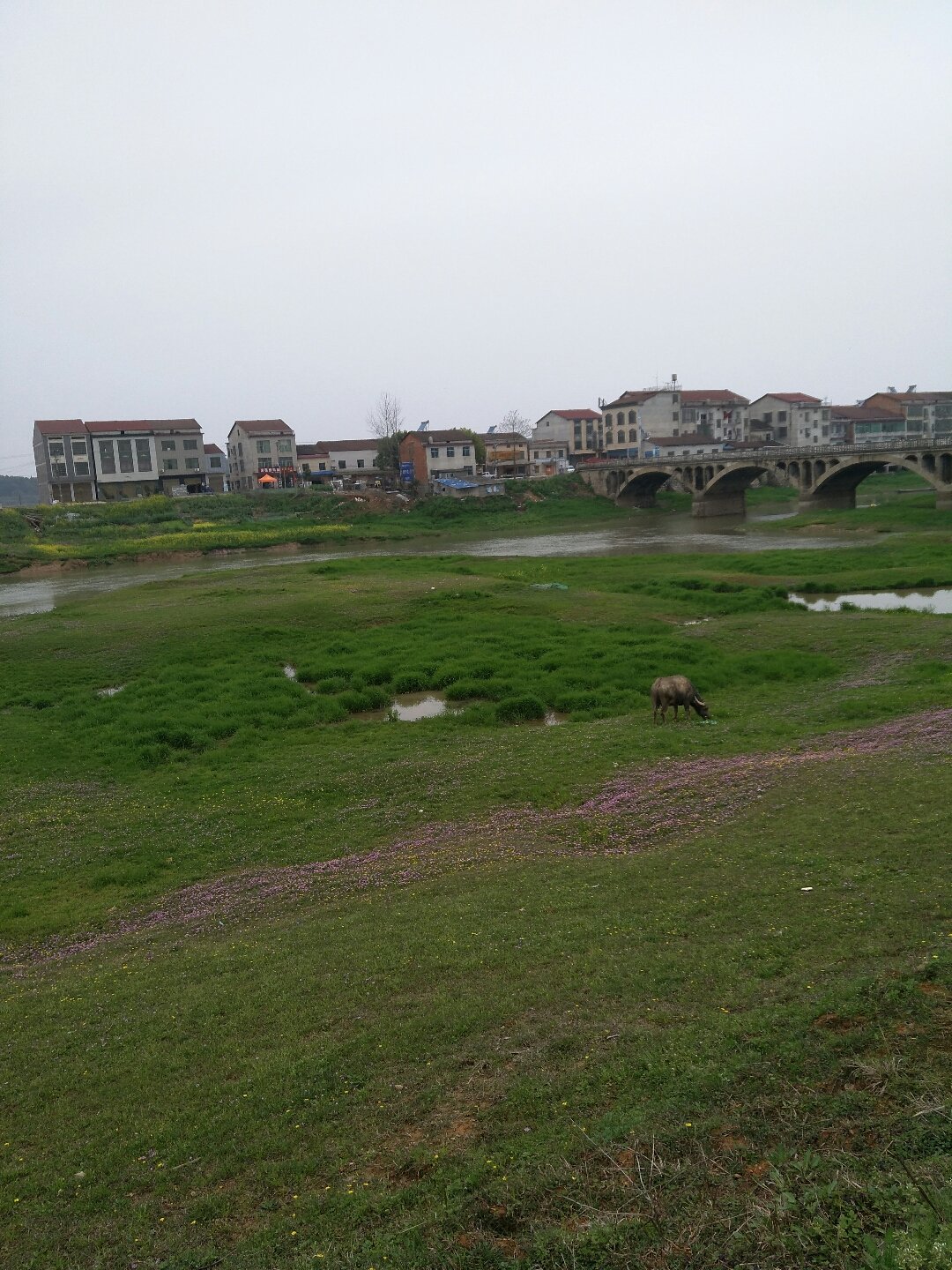  p>源潭镇(已撤销),隶属于湖南省岳阳市临湘市,地处 a target="_blank