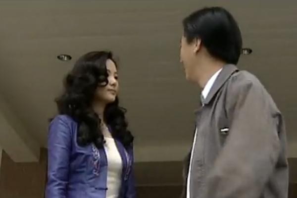 《以黑治黑》又名《县委书记》,是一部20集电视剧,由 a target="