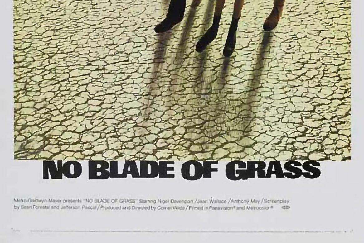 no blade of grass