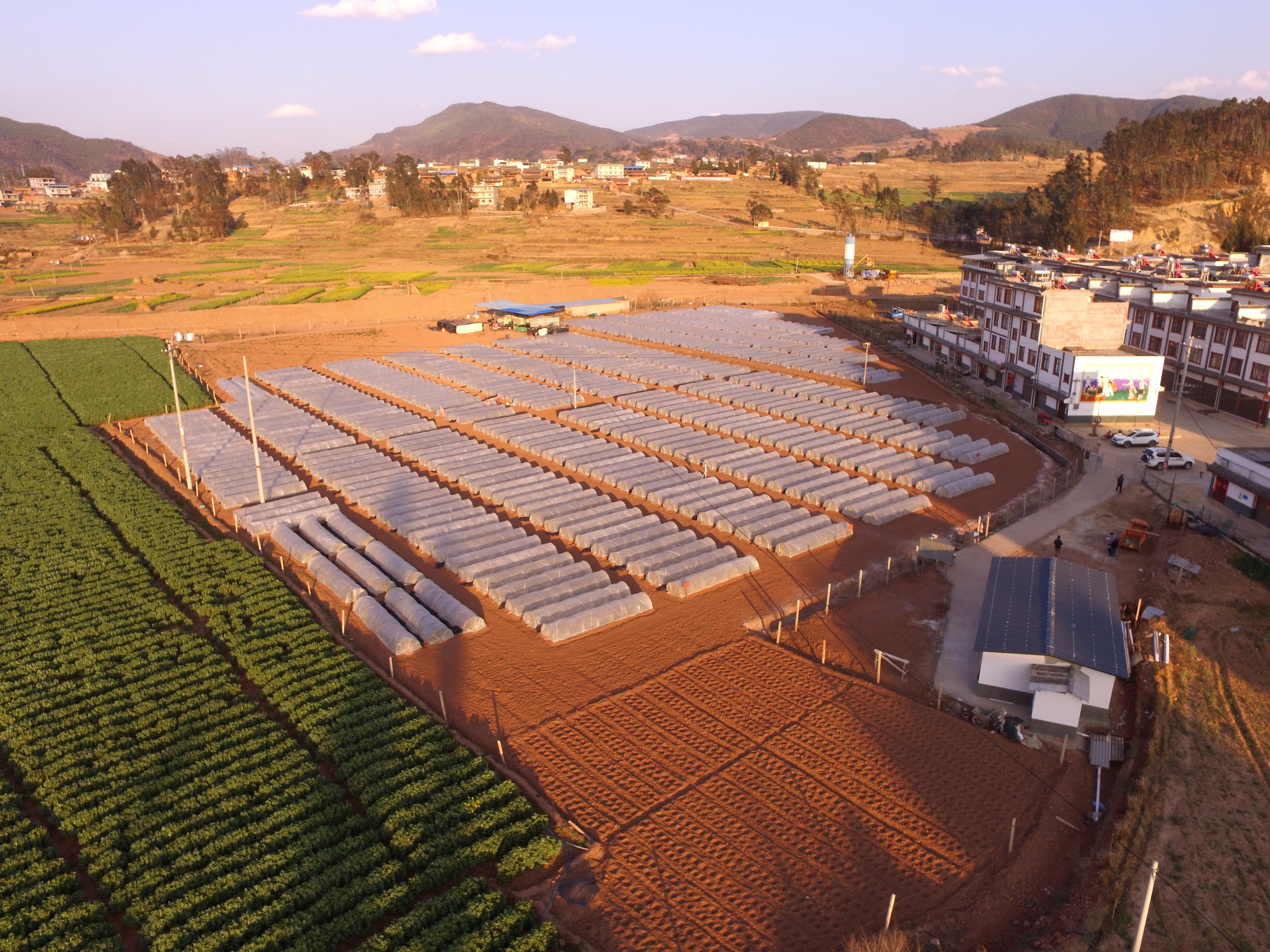  p>共和镇,隶属于云南省楚雄彝族自治州牟定县,地处 a target="_blank