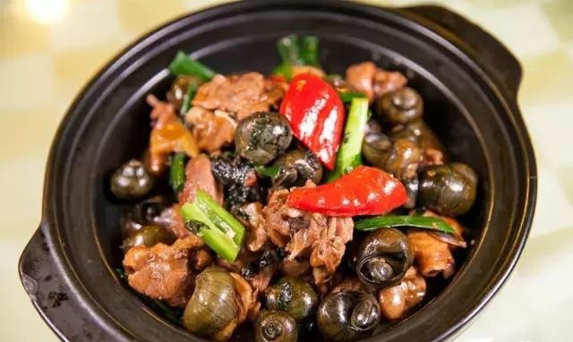 紫苏田螺原味焖鸡