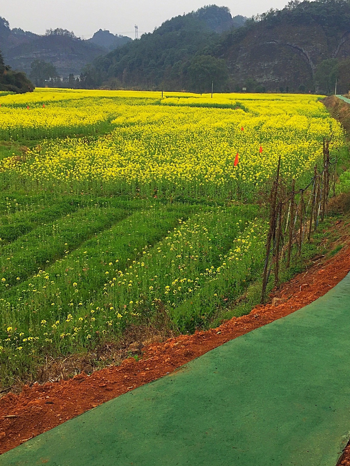  p data-id="gnzwzpd0n4">达浒镇,隶属于湖南省长沙市浏阳市,地处 a