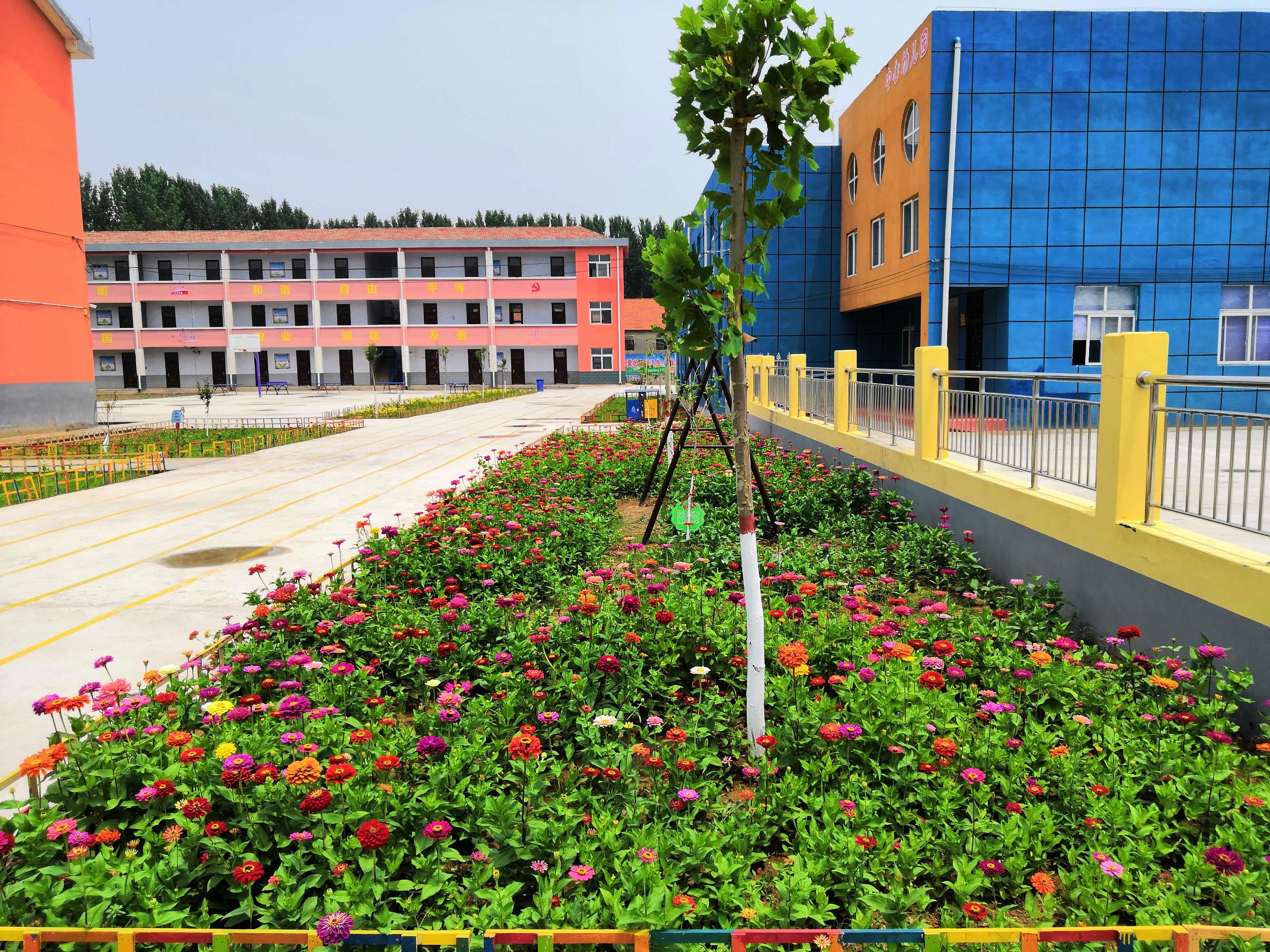 data-lemmaid="59474">河南省 /a>周口市鹿邑县,地处 a target="