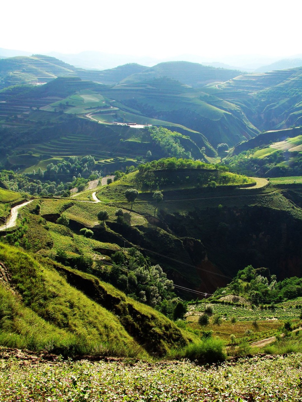 隶属于甘肃省庆阳市<a target="