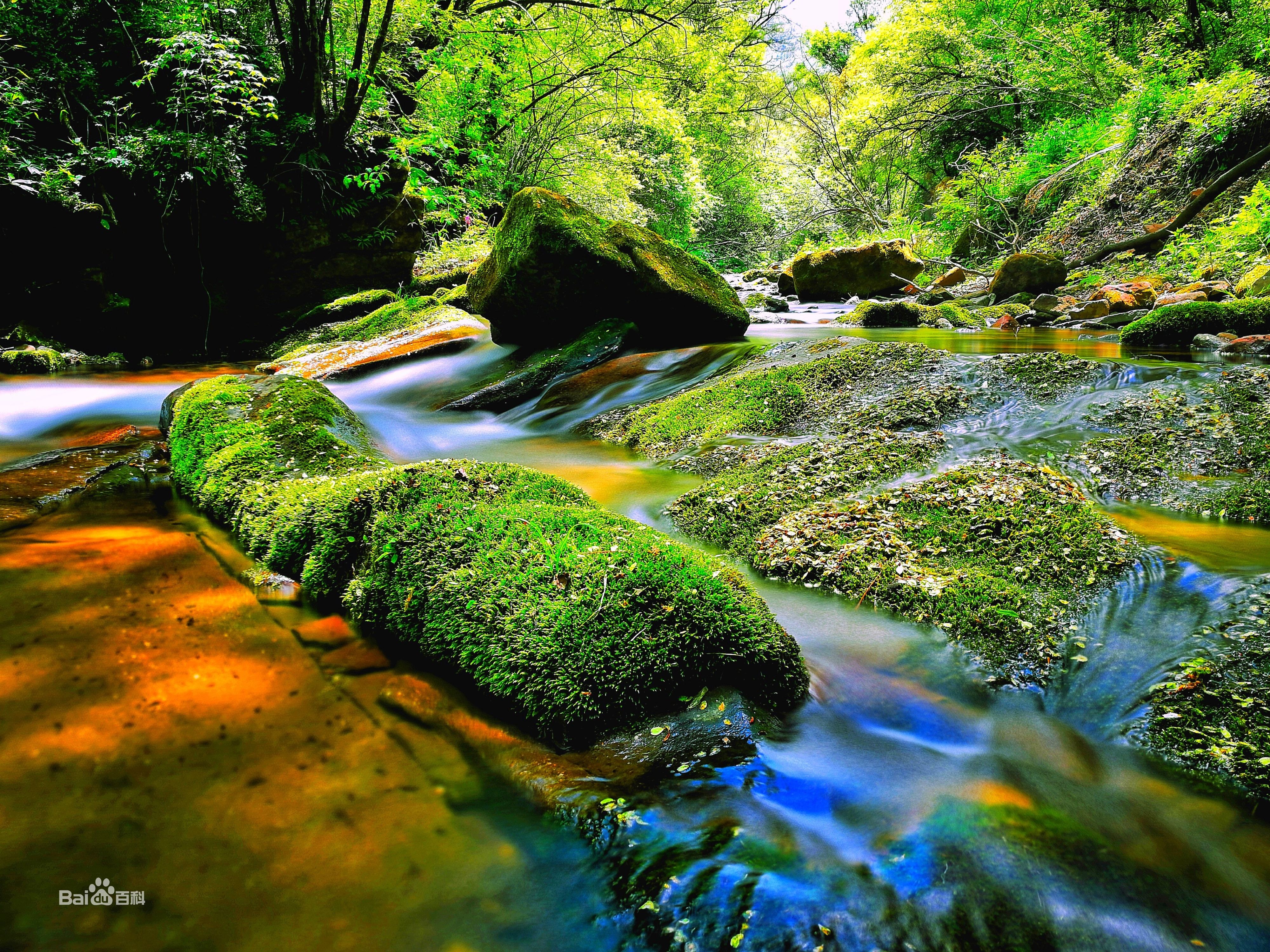 六盘山森林公园