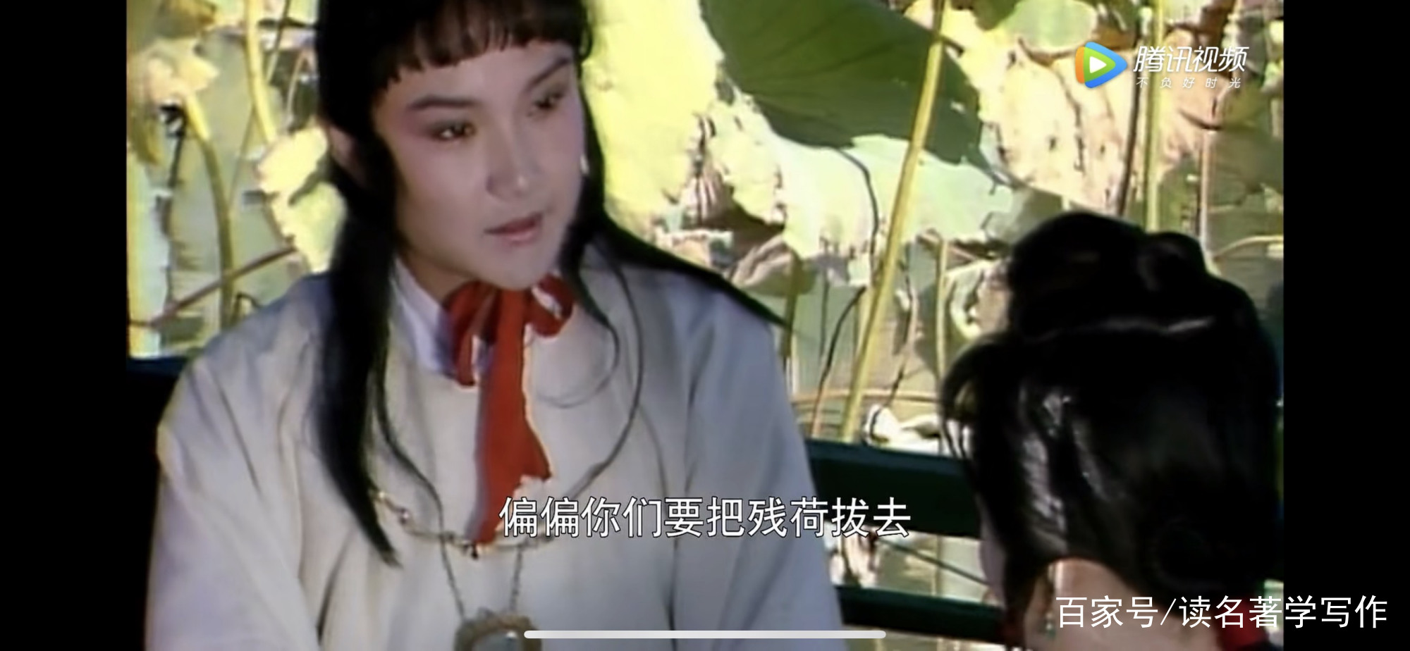 读《红楼梦》学写作109：第40回⑦老太太指点蘅芜苑_百科TA说