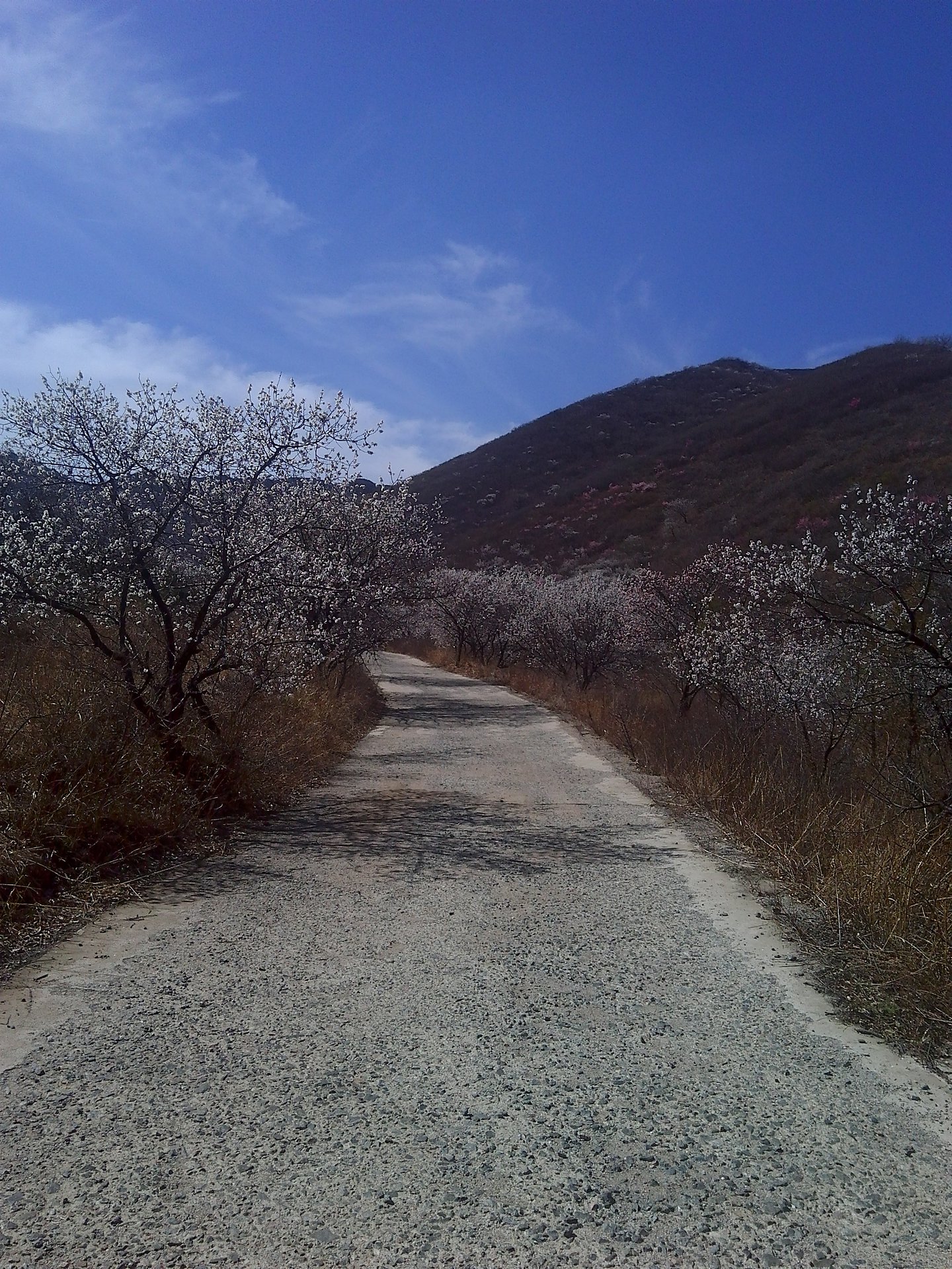  p data-id="gnb4knz9c3">辽宁天秀山森林公园位于享有"辽西第一村"