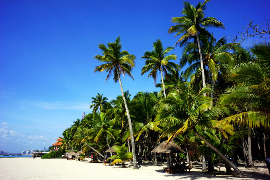  p>东郊椰林, a target="_blank" href="/item/海南/13346" data