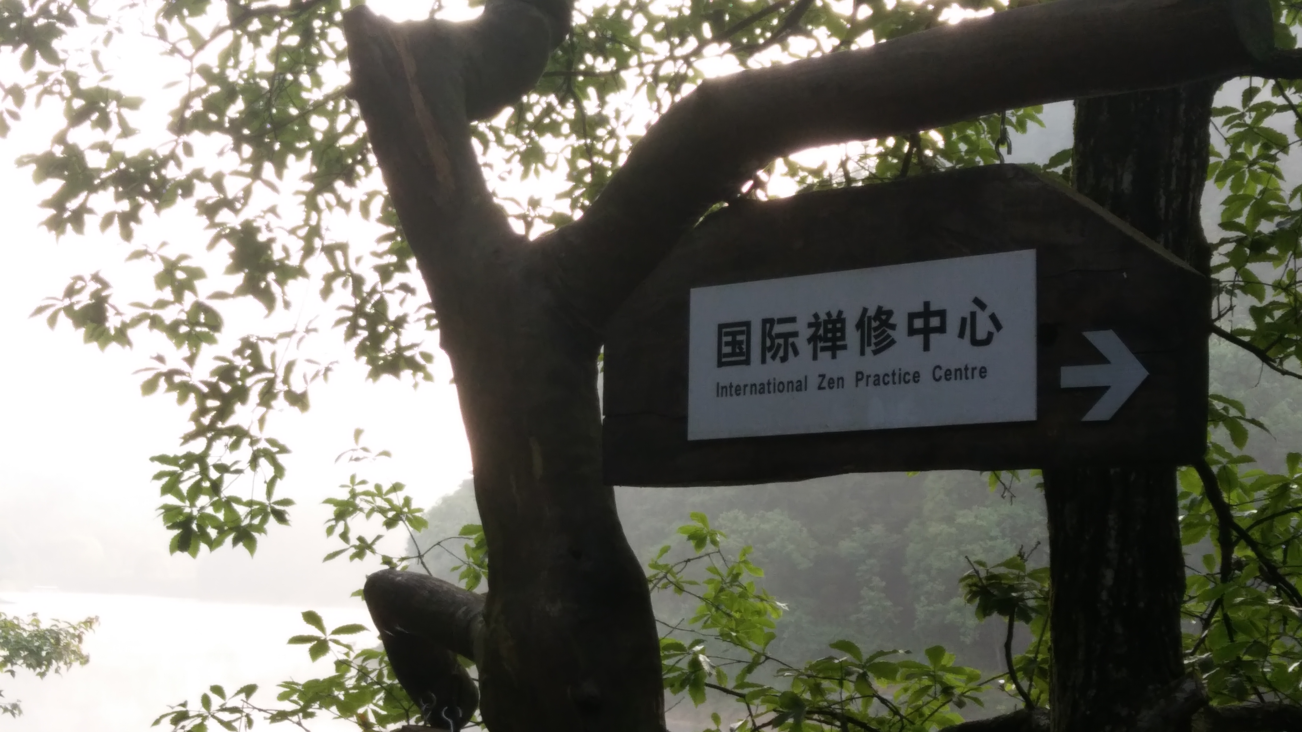 千岛湖国际禅修中心
