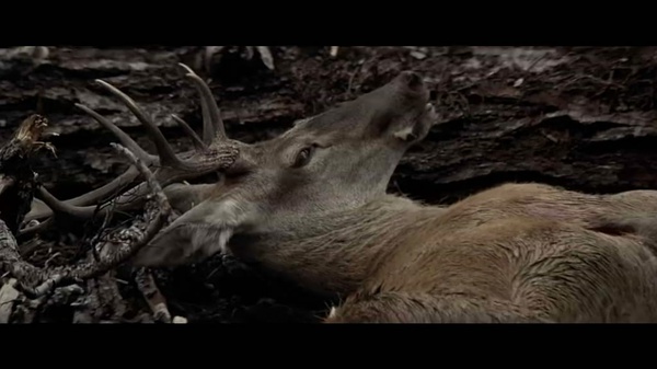 猎鹿人thedeerhunter(1978)