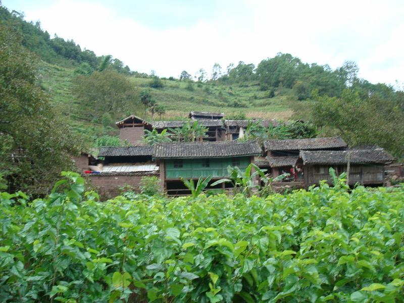  p>该行政村隶属景东彝族自治县大朝山东镇,地处镇政府南边,距镇政府
