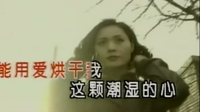 潮湿的心