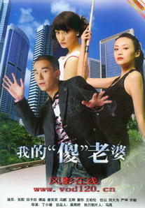 我的老婆是傻瓜