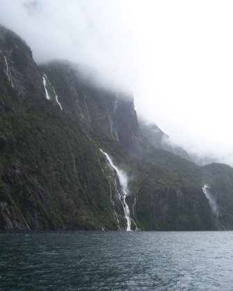 毛利语:piopiotahi),在毛利语的意思为"第一只野生画眉"(first native