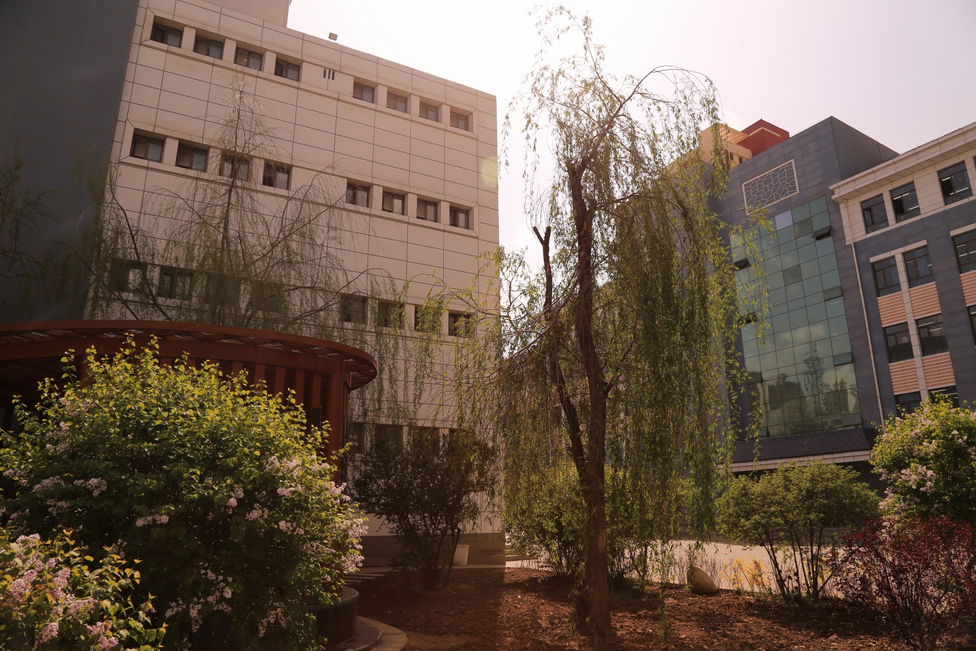 西宁市第十一中学