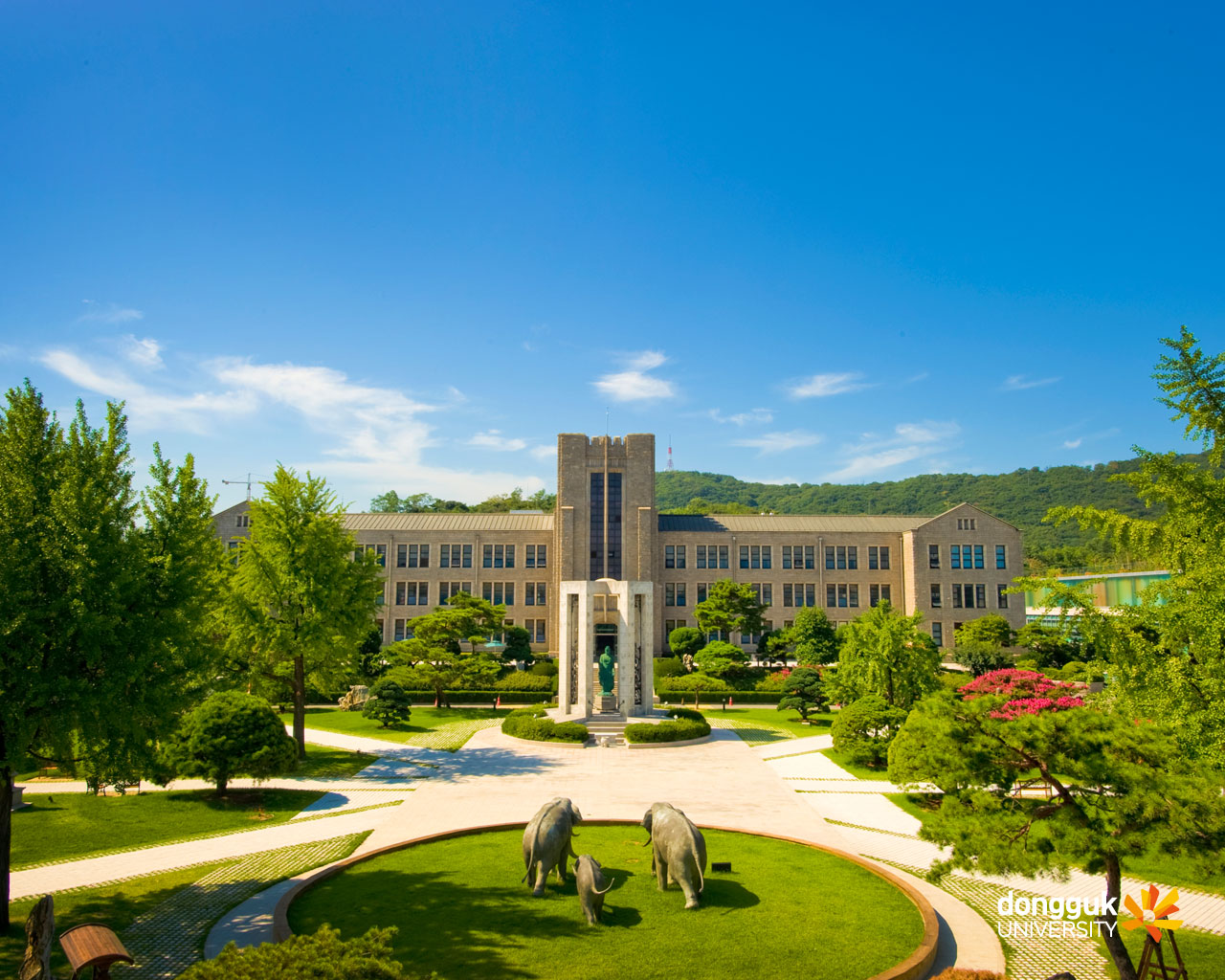 东国大学