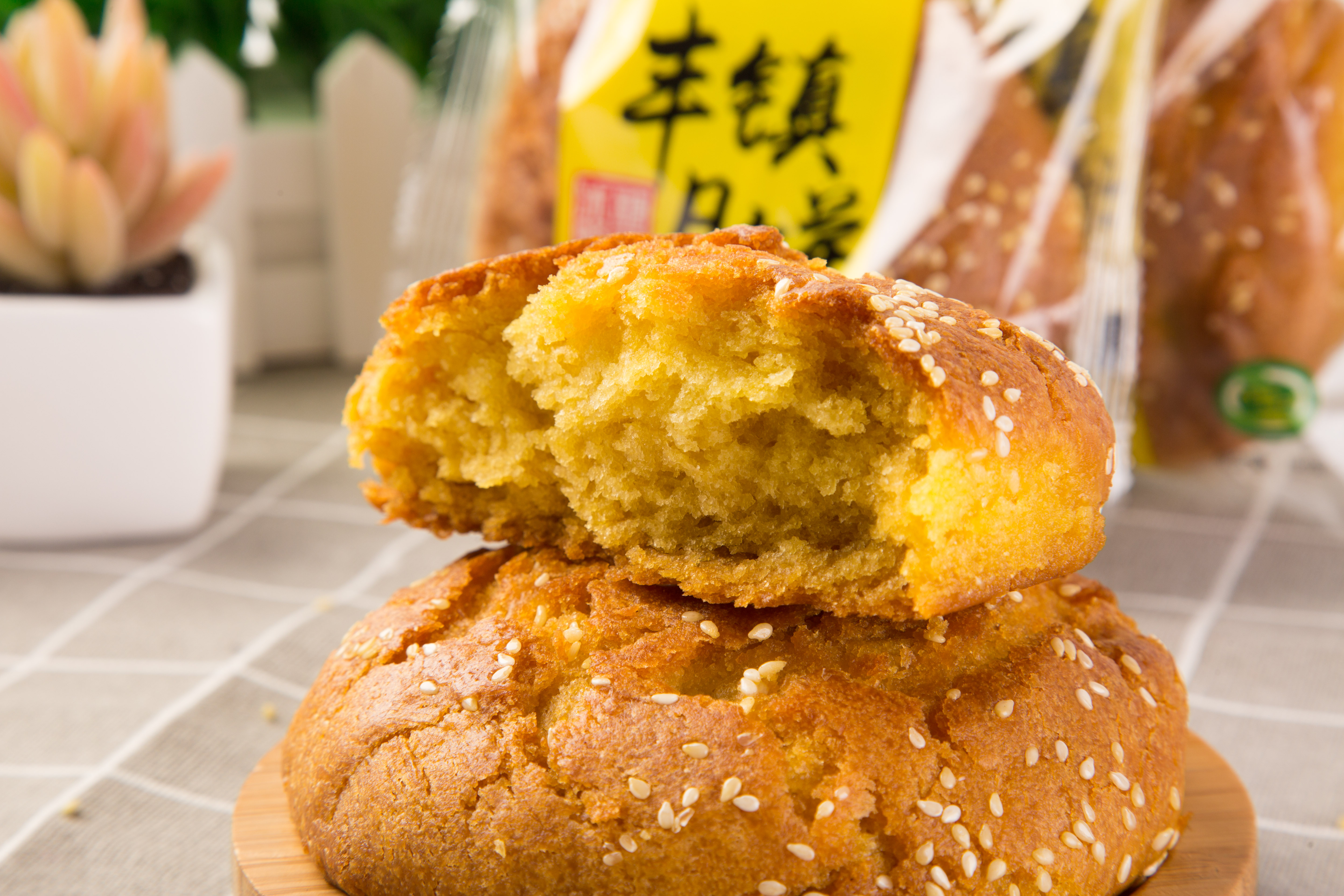 丰镇市海鹏食品股份有限公司